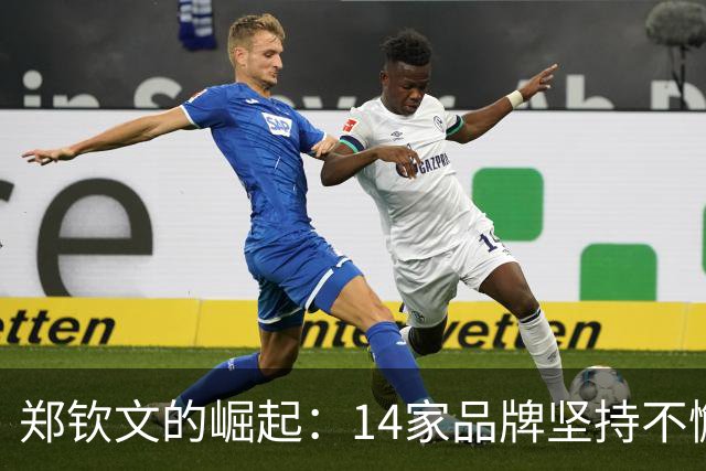 郑钦文的崛起：14家品牌坚持不懈，收获丰厚回报